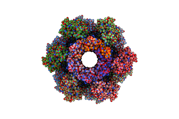 6PYT image