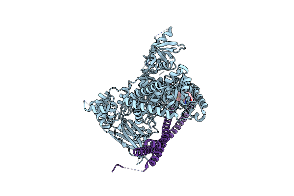 6PYU image