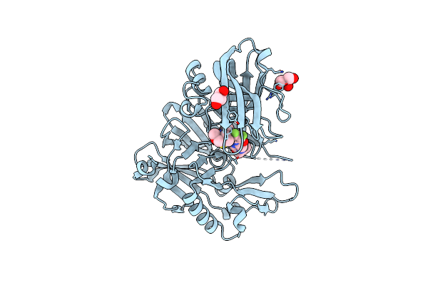 6PZ4 image