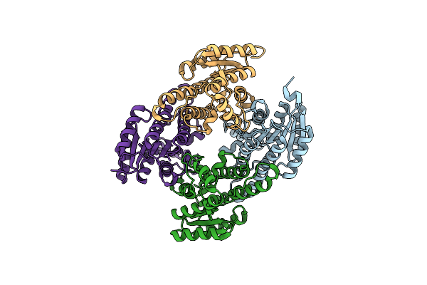6PZN image