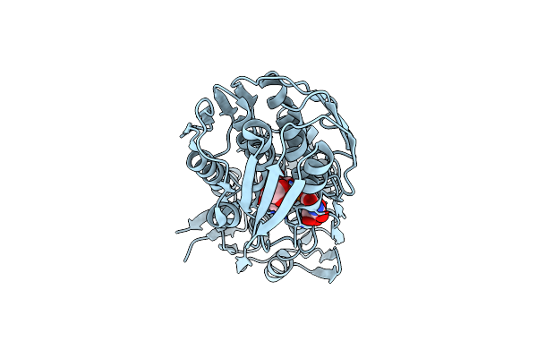 6Q0A image
