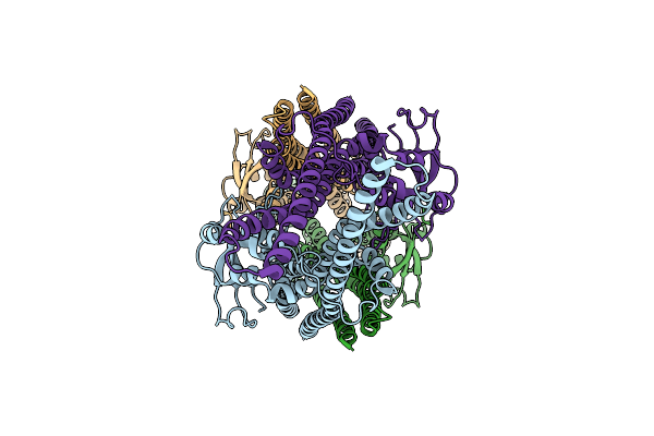 6Q0X image
