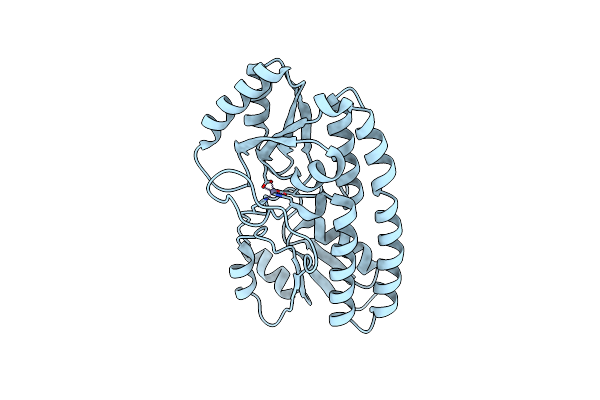 6Q1D image