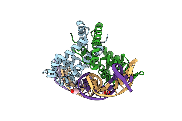 6Q2B image
