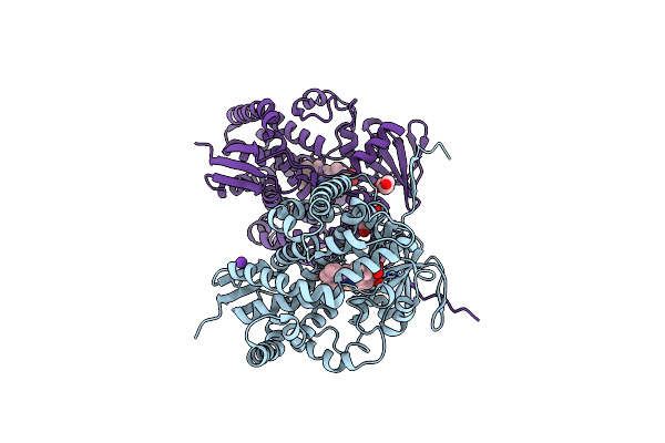 6Q2C image
