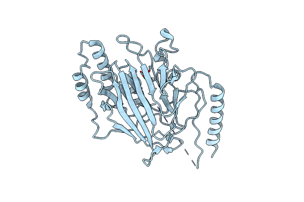 6Q2K image