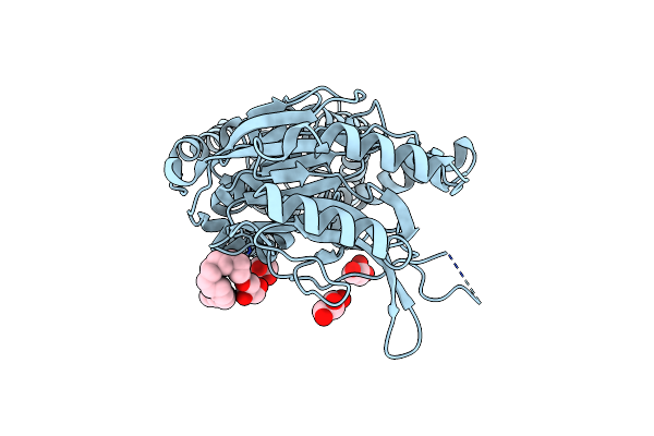 6Q3A image