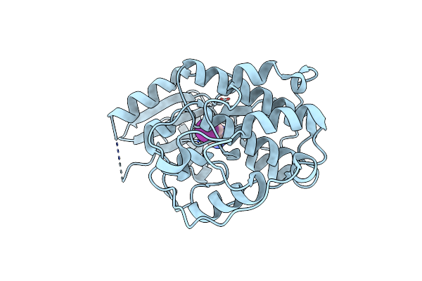 6Q4A image