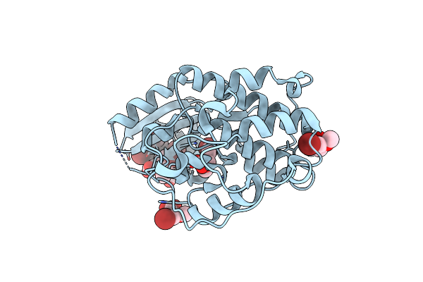 6Q4D image