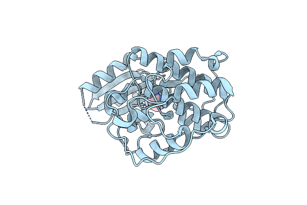 6Q4F image