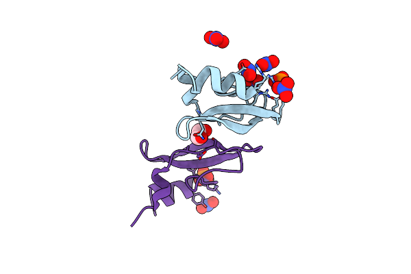 6Q6C image