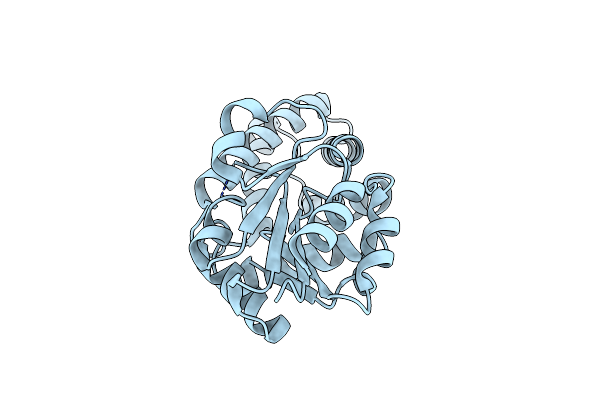 6Q7Q image