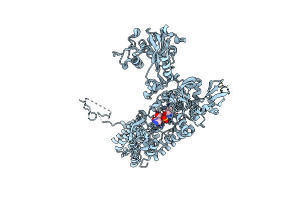6Q8A image