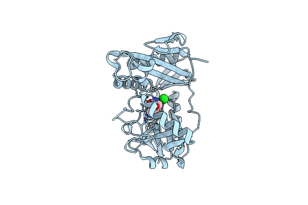 6Q8E image