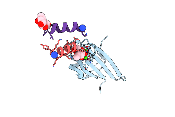 6Q8H image