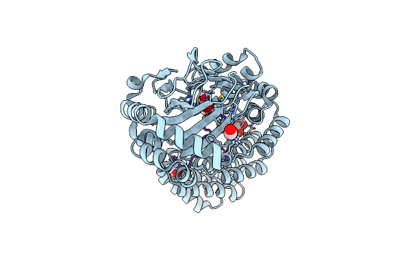 6Q9I image
