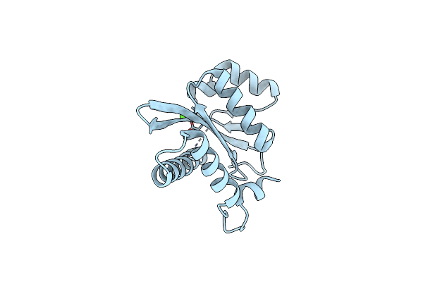 6QBW image