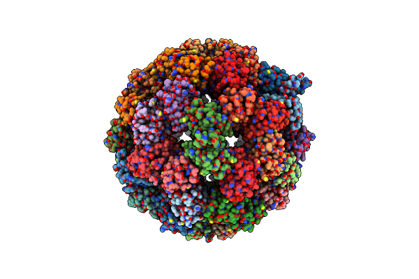 6QCM image