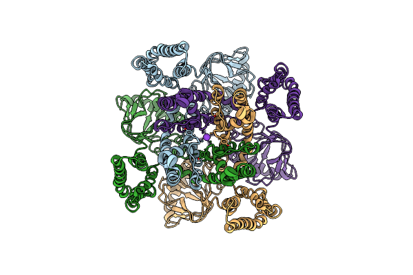6QD2 image