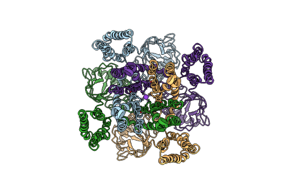 6QD4 image