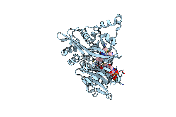 6QD9 image