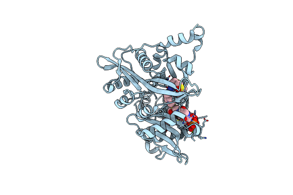 6QDD image