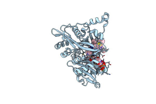 6QDE image