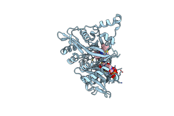6QDF image