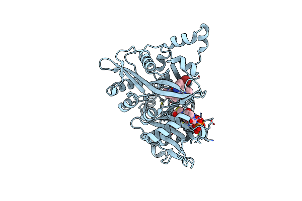 6QDG image