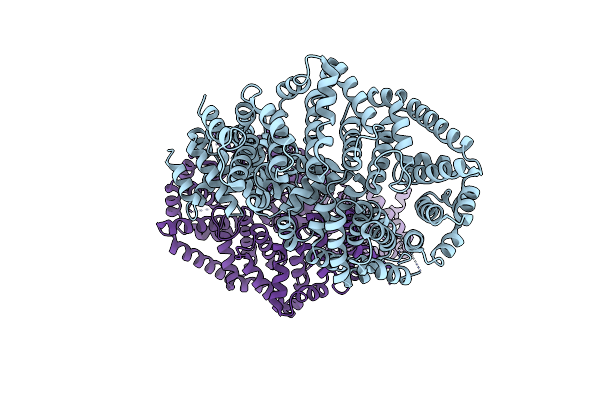 6QDM image