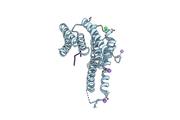 6QDR image