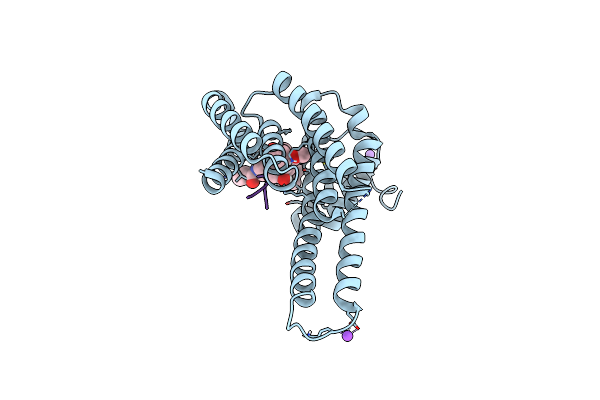 6QDS image