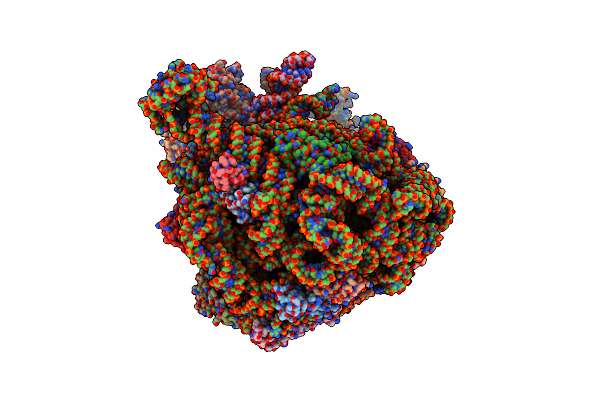 6QDW image