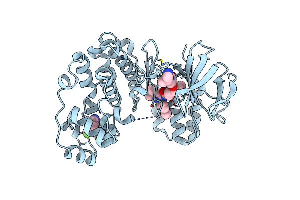 6QDZ image