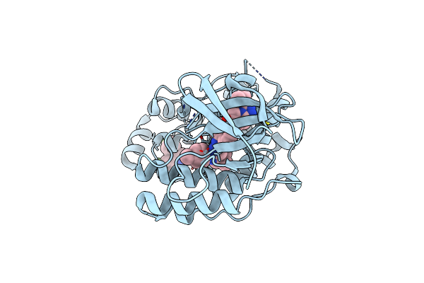 6QE1 image