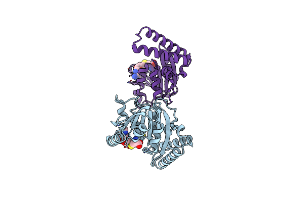 6QE6 image