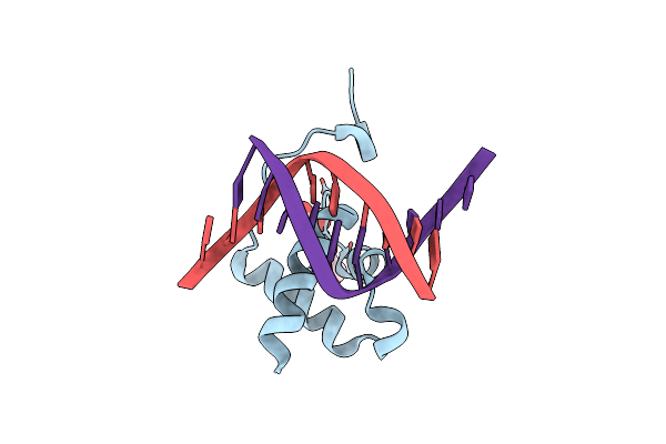 6QEC image