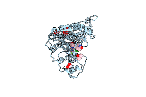 6QED image