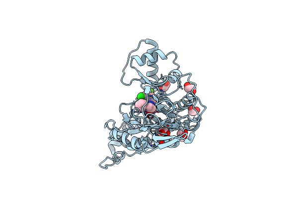 6QEF image