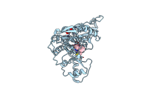 6QEG image