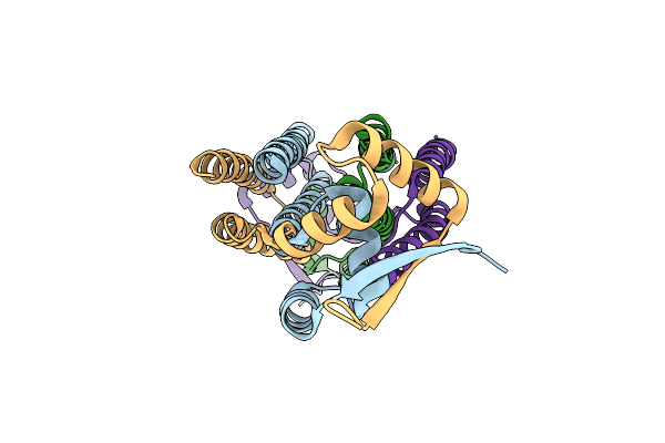 6QEQ image