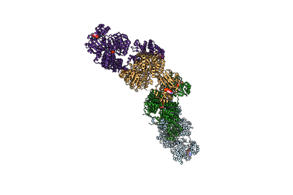 6QFB image