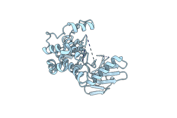 6QFR image