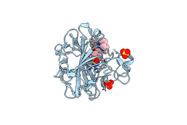 6QFV image