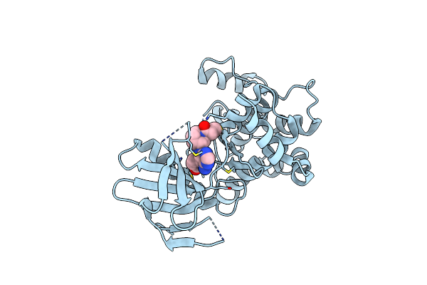 6QG4 image