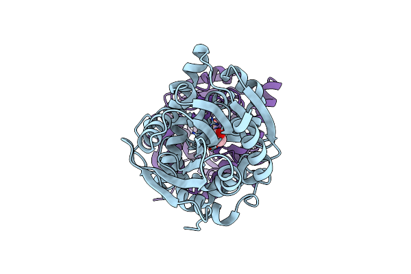 6QHP image