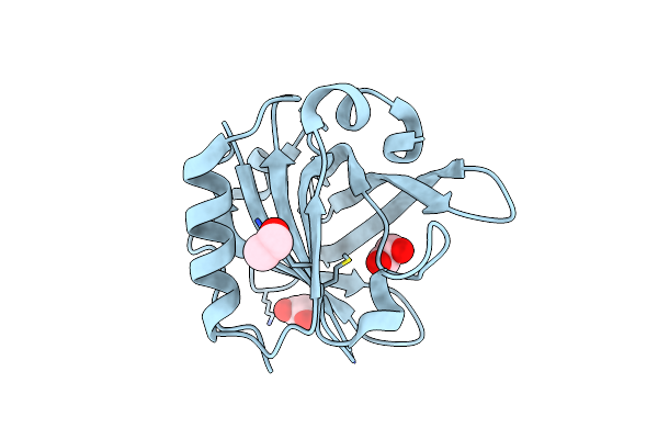6QI6 image