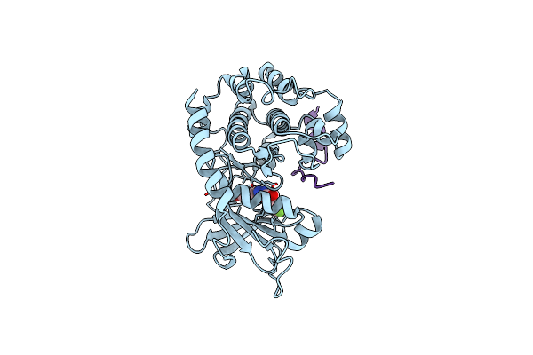 6QJ7 image