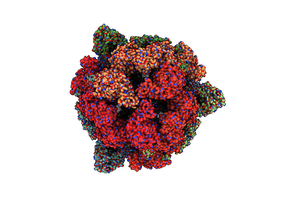 6QL5 image