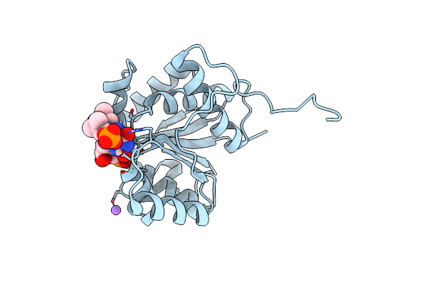 6QLI image